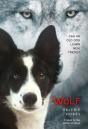 Wolf - Preview
