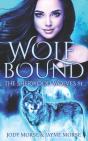 Wolfbound (The Sherwood Wolves #1) - Preview