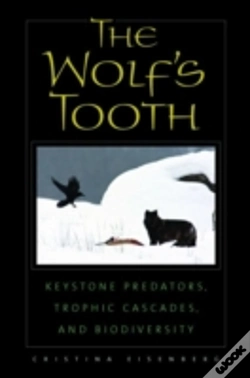 Capa do artigo Wolfs Tooth