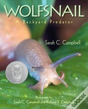 Wolfsnail