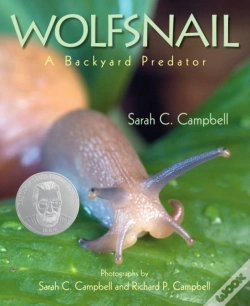 Capa do artigo Wolfsnail