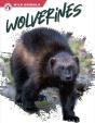 Wolverines - Preview
