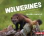 Wolverines - Preview