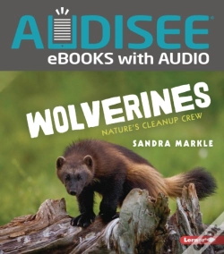 Capa do artigo Wolverines