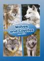 Wolves And Coyotes - Preview