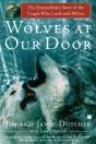 Wolves At Our Door - Preview