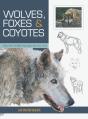 Wolves, Foxes & Coyotes (Wildlife Painting Basics) - Preview