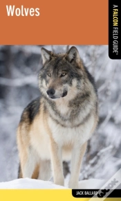 Capa do artigo Wolves