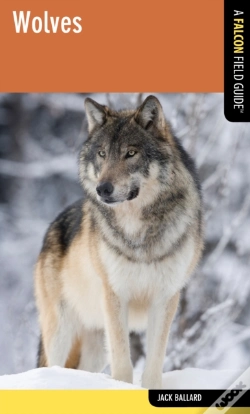 Capa do artigo Wolves
