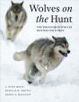 Wolves On The Hunt - Preview