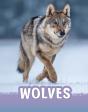 Wolves - Preview