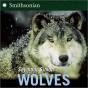 Wolves - Preview