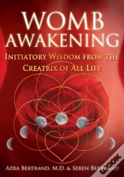 Capa do artigo Womb Awakening
