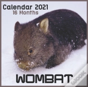 Capa do artigo Wombat Calendar 2021 16 Months