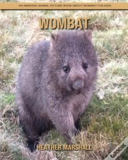 Capa do artigo Wombat