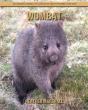 Wombat - Preview
