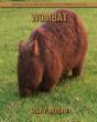 Wombat - Preview