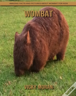 Capa do artigo Wombat