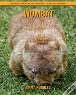 Capa do artigo Wombat