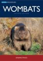 Wombats - Preview