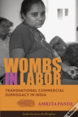 Capa do artigo Wombs In Labor