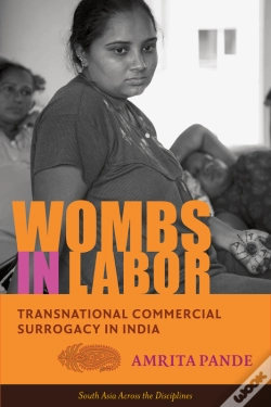 Capa do artigo Wombs In Labor