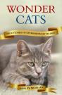 Wonder Cats - Preview