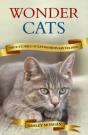 Wonder Cats - Preview