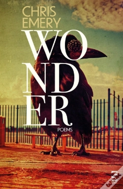Capa do artigo Wonder