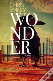 Capa do artigo Wonder