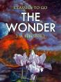 Wonder - Preview