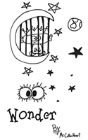 Wonder - Preview