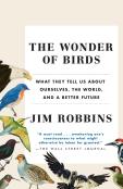 Wonder Of Birds