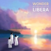 Capa do artigo Wonder - Vinil