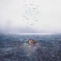 Wonder - Vinil - Preview