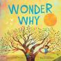 Wonder Why - Preview