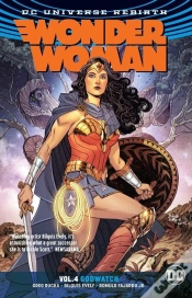 Capa do artigo Wonder Woman Volume 4