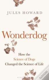 Wonderdog