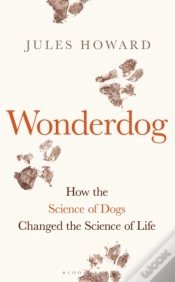 Capa do artigo Wonderdog