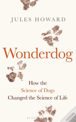 Capa do artigo Wonderdog