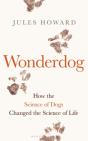Wonderdog - Preview