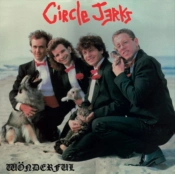 Capa do artigo Wonderful - CD
