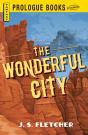Wonderful City - Preview
