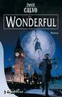 Wonderful - Preview