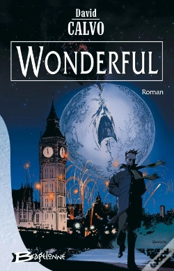 Capa do artigo Wonderful