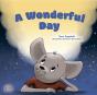 Wonderful Day - Preview