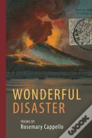 Wonderful Disaster