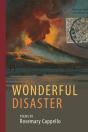 Wonderful Disaster - Preview