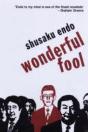 Wonderful Fool - Preview