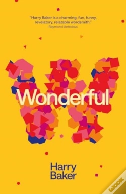 Capa do artigo Wonderful